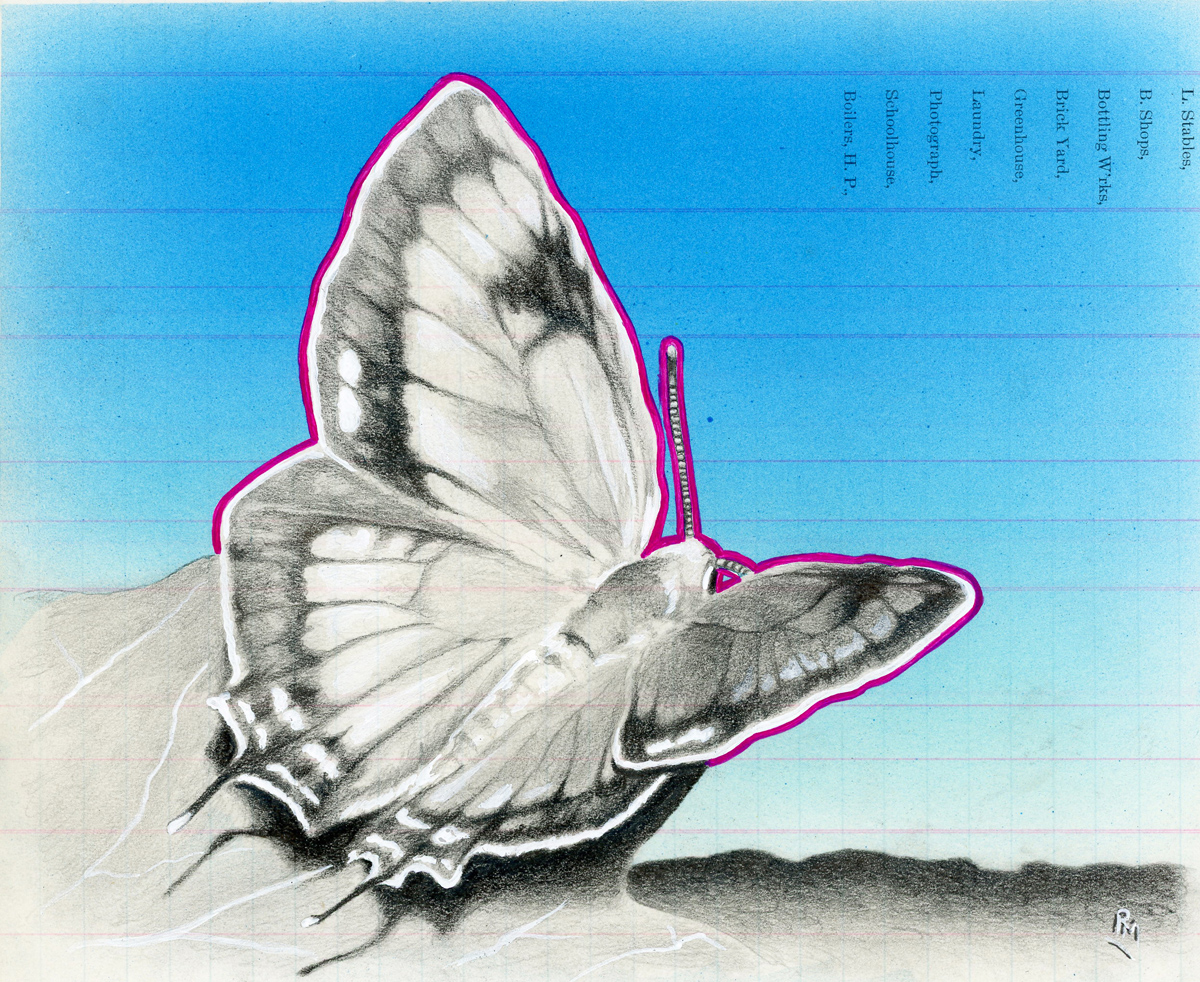 "Mile High Fly" 7in x 8.5in, Airbrushed/Brushed Acrylic & Graphite on Antique 1897 Ledger Paper