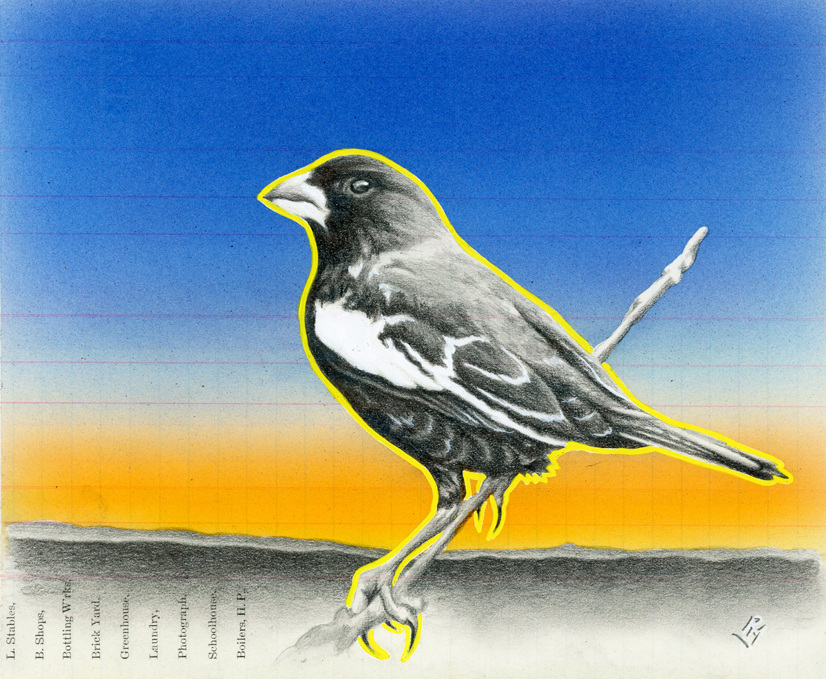 "Evening Lark" 7in x 8.5in, Airbrushed/Brushed Acrylic & Graphite on Antique 1897 Ledger Paper