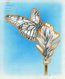 "Flutter" 8.5in x 7in, Airbrushed/Brushed Acrylic & Graphite on Antique 1897 Ledger Paper