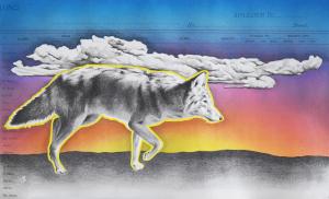 Coyote Clouds Revisited, 7.5in x 17in, Airbrushed/Brushed Acrylic & Graphite on Antique 1897 Ledger Paper